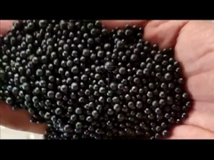 Γραμμή παραγωγής οργανικών λιπασμάτων