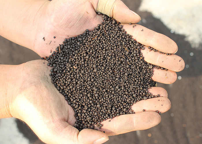 Κοκκοποιητής Λιπάσματος Κοκκοποίησης Οργανικών Αποβλήτων Συμπεριλαμβανομένου Πριονιδιού, Κόπρου Γαλακτοπαραγωγής, Υπολειμμάτων Λαχανικών και Μικροβιακών Στελεχών