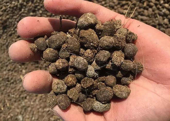 Γεννητικό κόκκωμα για την κόκκωση οργανικών υλικών όπως άχυρα, φυτικά υπολείμματα και φουλβικό οξύ